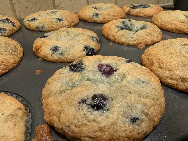Blueberry Muffins