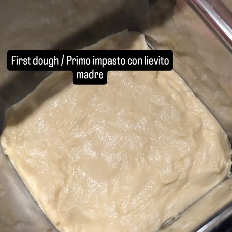 Classic Italian Panettone: The First Dough